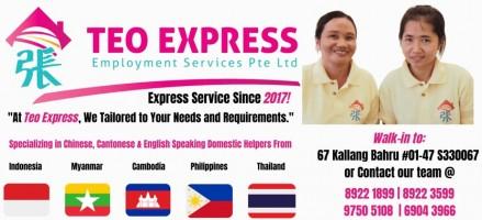 Teo Express Employment Services Pte. Ltd. logo